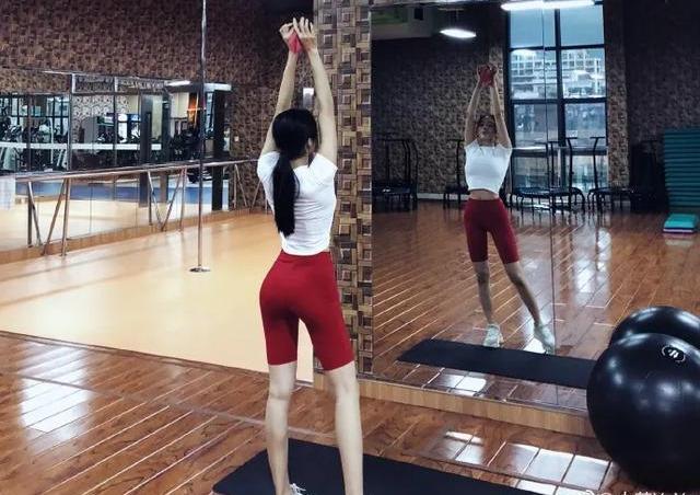 天天中彩票下载手机版