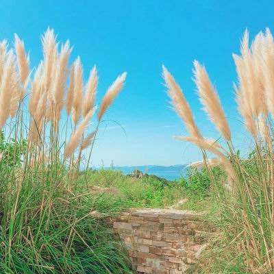 博喜体育官网下载