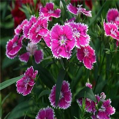 5848vip威尼斯电子游戏app下载